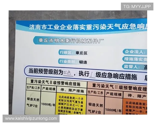 尊龙平台登录入口：常见登录问题解决方案与安全保障措施