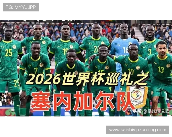 世界杯法国对阵塞内加尔比赛中网络赌球的潜在风险与防范措施分析